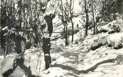 Paisagem invernal nevada — trilha e cabana no fundo — editor não visível