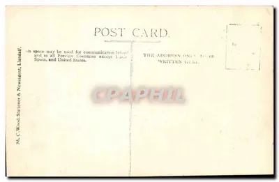 Katedra Llandaff — ruiny przed restauracją — M. C. Wood, Stationer & Newsagent, Llandaff — Rewers