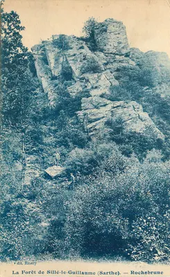 Floresta de Sillé-le-Guillaume (Sarthe) — Rochebrune — dit Emery