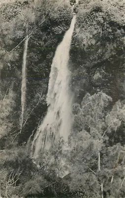 Cachoeira em uma floresta — editor não identificável