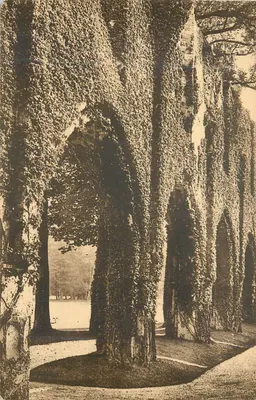 Avenida de árvores com lianhas — Castelo da Muette — Paris