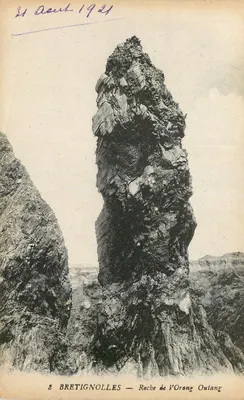 Bretignolles — Roche de l'Orang Outang — editor desconhecido, n° 8