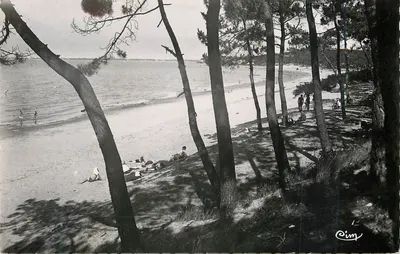 Praia de Pinus — vista dos pinheiros — Cim