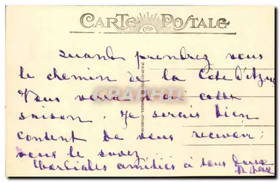 NICE - Kąt Jardins du Roi Albert Ier — nieznany wydawca, n° 229 — Rewers