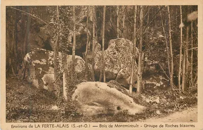 Arredores de LA FERTE-ALAIS (S.-et-O.) — Bois de Montmircult — Grupo de Rochas estranhas