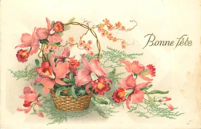 Arranjo de orquídeas rosas — Boa Festa — carta postal antiga