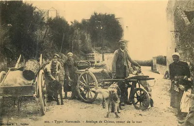 Tipos Normandos — Atrelado de Cães, retorno do mar — Coleção A. L., Bayeux, n° 201