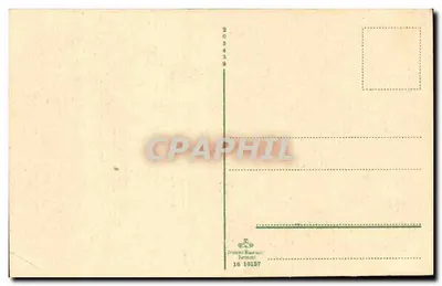 Neuss, Parte no Stadtgarten — editor Otto Kneissl, n° 16 10157 — Verso