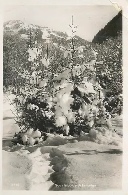 Sob o peso da neve — 9406