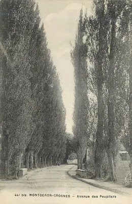 Montgeron-Crosnes — Avenida dos Poplars — 441 bis