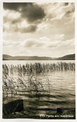 Parte do Lago Aegerisee — vista do lago com canas — editor JAC, n° 3795