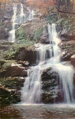 Cascata de Outono — Floresta de montanha — Editor não identificável
