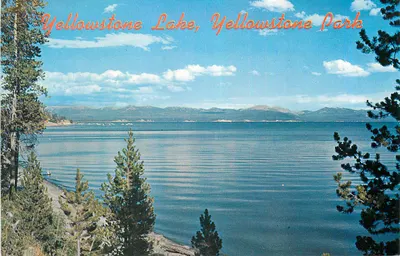 Lago Yellowstone, Parque Yellowstone — vista lacustre com montanhas e pinheiros