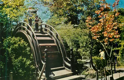 Ponte de madeira com arco — Jardim japonês — Editora não visível