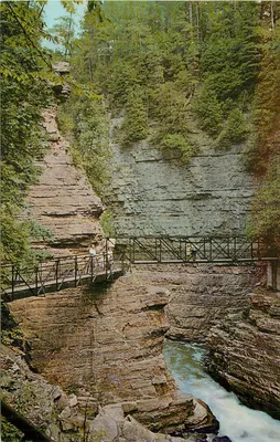 Gorge do Estado de Nova York — ponte metálica sobre um cânion rochoso — editor não visível