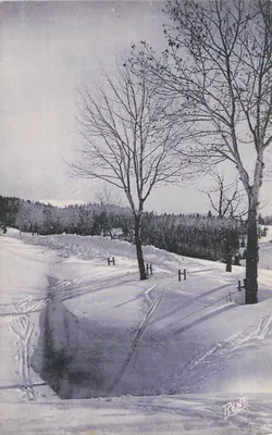 Paysage hivernal enneigé — arrière-plan de forêt — signé RENÉ