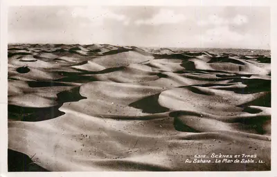 No Saara — O Mar de Areia — Cenas e Tipos — LL — n° 6512