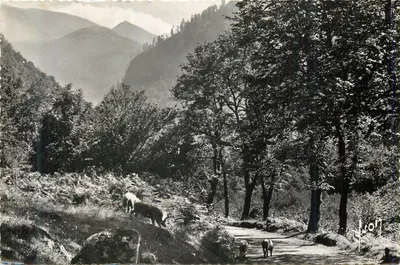 Paisagem montanhosa com vacas — Editor 'Lyon' n° 107