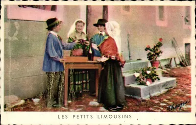 Les Petits Limousins — Théojac