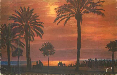 Pôr do sol na praia — vista de palmeiras — Yvon