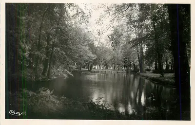 Paisagem de floresta com lago — Cim