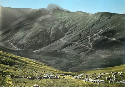 पहाड़ी दृश्य एक भेड़ों के झुंड के साथ — Photo Guy