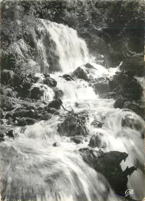 Cachoeira — Floresta — CAP