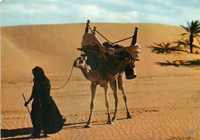 Deserto egípcio — pastor com camelo carregado — editor 'Égypte' n° 1234