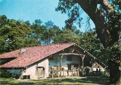 Casa rustica in pietra — tetto in tegole rosse — fondo con pini — editore non visibile