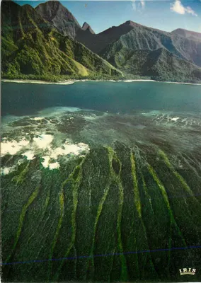 Vista aérea de paisagens marítimas e montanhosas — editor IRIS