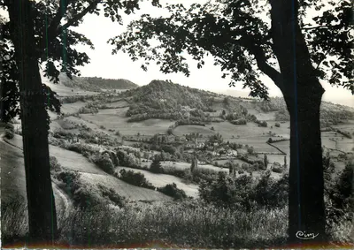 Vista de campo — vista enquadra por dois árvores — Cim