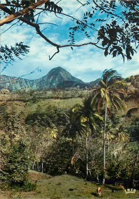 Vue du mont Pelée — Martinique — éditeur IRIS