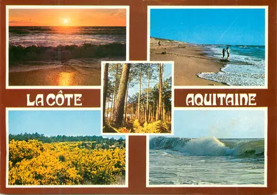 A Côte — Aquitânia — paisagem costeira e floresta