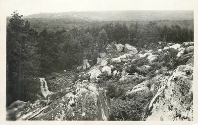 Vista de rochedos e floresta — Local não identificado — Bilhete postal antigo