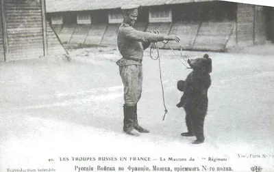 As Tropas Russas na França — A Mascote do "1º" Regimento — Visé, Paris N° 542