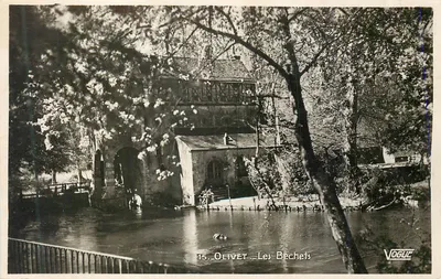 Olivet — Les Bechets — Vogue