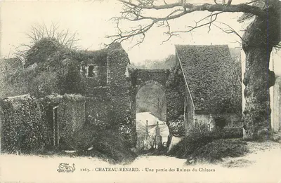 Château-Renard — Uma parte das Ruínas do Castelo — n°1163