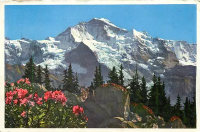 Monte Rainier — vista panorâmica — editor não visível