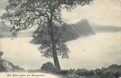 Motivo contra o Bürgenstock — vista lacustre com árvore em primeiro plano — série 7978