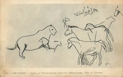 Les Eyzies — Grotta di Font-de-Gaume. Incisioni preistoriche. Felino e Cavalli.