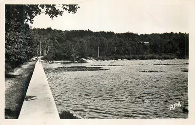 Vista de um lago com ponte — APA