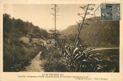 Ilha de Port-Cros (Var) — vista da costa arborizada e da igreja — Yvon