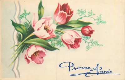 Mata de tulipas — Boa Ano — cartão de felicitações
