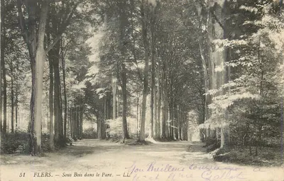 Flers. — Sob a Árvore no Parque. — L.L.
