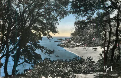 Praia da Ponta da Torche — vista dos árvores — Roosy