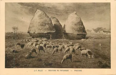 Ovelhas no pastoreio — J.-F. Millet — Pasture