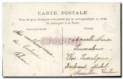 Kobieta w różowym płaszczu trzymająca koszyk z kwiatami — Bonne Année 1908 — wydawca nieznany, numer seryjny 1508 — Rewers