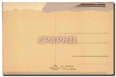 Mainz — Totalansicht — n° 192114 — Verso