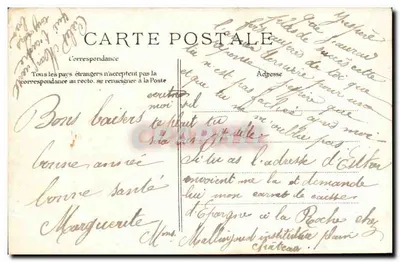 Meisje in roze jurk — bloemmotief — Celd — Achterkant