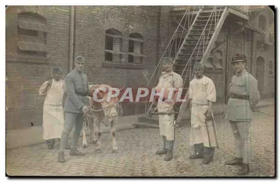 Bilhete postal antigo Superbe plano Bouchers Boeuf Militaire